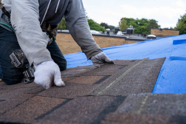 Best Roof Maintenance Services  in Earlham, IA